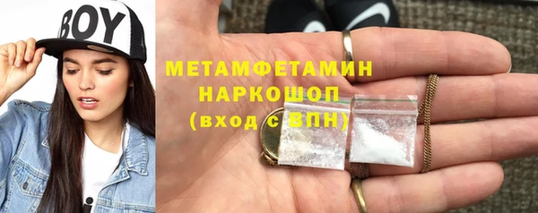 шишки Приозерск