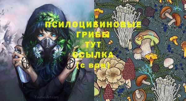 дмт Балахна
