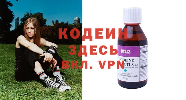 шишки Приозерск