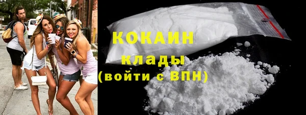 индика Покров