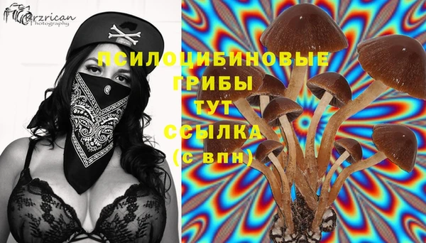 амф Покачи